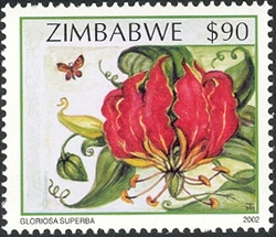 Wildflowers of Zimbabwe Series 2 - Flame lily (Gloriosa superba)