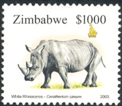 5th Definitive series - White Rhinoceros (Cerototherium simum)
