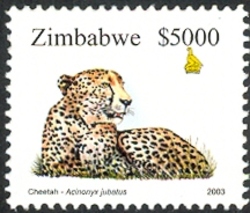 5th Definitive series - Cheetah (Acinonyx jubatus)