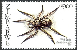 Stamp, Spiders of Southern Africa - Wolf spider (Family lycosidae), Zimbabwe,  