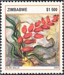 Aloes - Aloe ballii