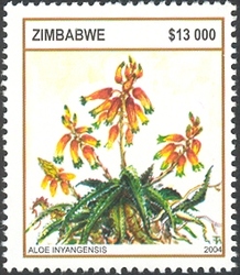 Aloes - Aloe inyangensis
