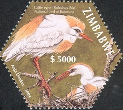 First SAPOA Joint issue - Cattle Egret