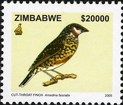 6th Definitive series - Cut-throat Finch