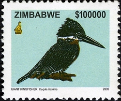 6th Definitive series - Giant Kingfisher