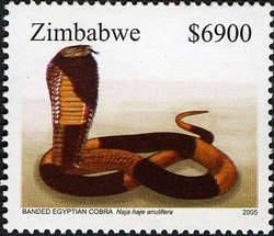 Stamp, Snakes - Banded Egyptian Cobra, Zimbabwe,  