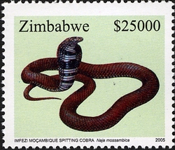 Stamp, Snakes - M'fezi Mozambique Spitting Cobra, Zimbabwe,  