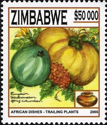 African dishes - Trailing plants