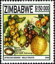 African dishes - Wild Fruits