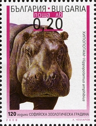 Stamp, 120th Anniversary of Sofia Zoogarden - Hippopotamus amphibius, Bulgaria,  