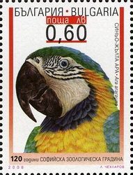 120th Anniversary of Sofia Zoogarden - Ara ararauna