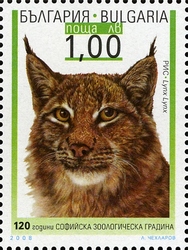 120th Anniversary of Sofia Zoogarden - Lynx lynx
