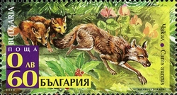 Stamp, Strandja Nature Park - Golden Chacal, Bulgaria,  
