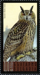 Fauna - Night Birds of Prey - Bubo bubo