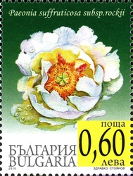 Stamp, Peony Flowers, Bulgaria,  