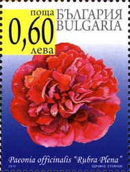 Stamp, Peony Flowers, Bulgaria,  
