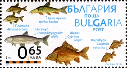 Stamp, Museum of the Danube - Fishing - Tutrakan, Bulgaria,  