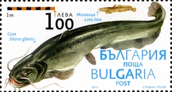 Stamp, Museum of the Danube - Fishing - Tutrakan, Bulgaria,  
