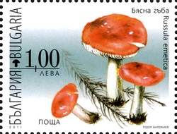 Stamp, Flora - Poisonous Mushrooms - Russula emetica, Bulgaria,  