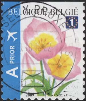 Stamp, Tulip Bakeri Selfadh. Top imperforate, Belgium,  , Flowers, Aviation, Plants (Flora), Aircrafts