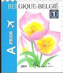 Stamp, Tulip Bakeri Selfadh. Bottom + Left imperf, Belgium,  , Flowers, Aviation, Plants (Flora), Aircrafts