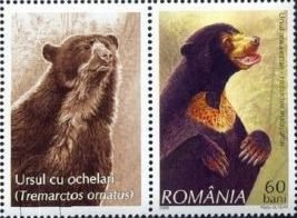 Sun Bear (Helarctos malayanus)
