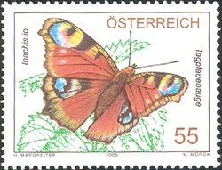Austria's Fauna - Peacock Butterfly