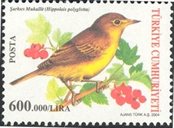 Stamp, Birds - Hippolais polyglotta, Turkey,  
