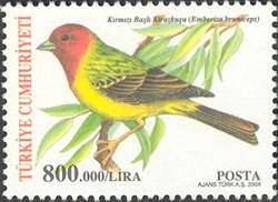 Stamp, Birds - Emberiza bruniceps, Turkey,  