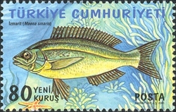 Stamp, World Environment Day - Sea Bream, Turkey,  