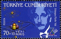 World Physics Year