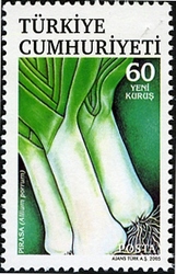 Medicinal Herbs - Leek