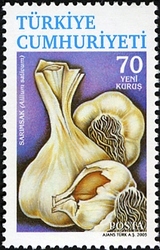 Medicinal Herbs - Garlic