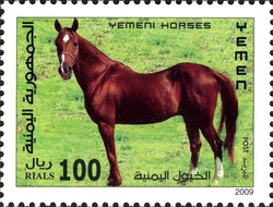 Stamp, Yemen Horses, Yemen, Kingdom,  