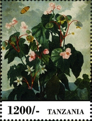 Fauna and Flora of Africa - Flowers