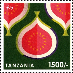 Fruits of Africa - Fig