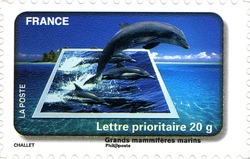 Water Protection