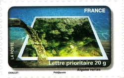 Stamp, Water Protection, France,  