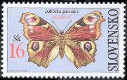 Butterflies - European Peacock