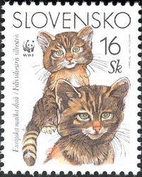 Nature Conservation - European Wildcat (Felis silvestris silvestris)