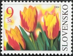 Flower - Slovolymphila 2004 - with personalised coupon