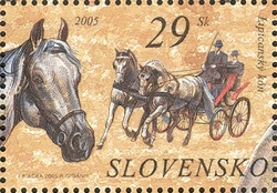 Horses - The Lippizaner Horse