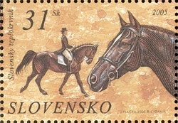 Horses - The Slovak Warmblood Horse