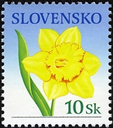 Congratulations stamp - Narcissus