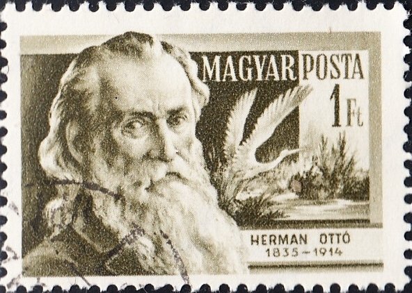 Ottó Herman (1835-1914) ornithologist