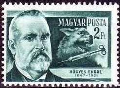 Endre Hőgyes (1847-1906) physician
