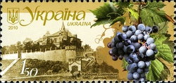 Winemaking in Ukraine - Cabernet Sauvignon
