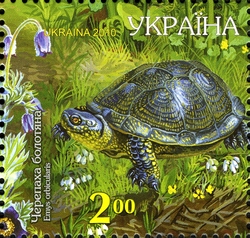 Stamp, Pond Turtle (Emys orbicularis), Ukraine,  