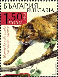 Ecology - Parangalitza Reserve