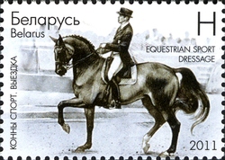 Equestrian Sport - Dressage